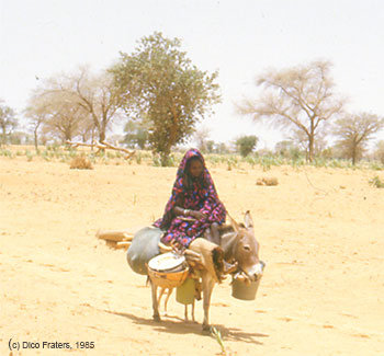 A woman on a donkey travelling in Niger