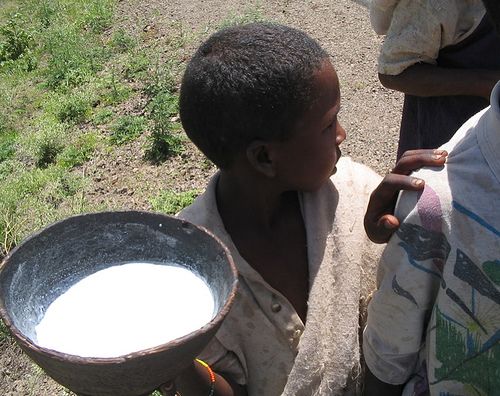 Milk: photo of a boy with calbash with camel milk.