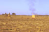 Vuur: foto van verbranden van gierststengels