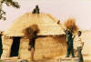 House: photo of a traditional straw hut